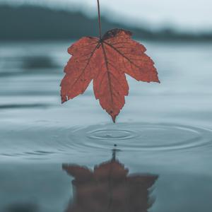 日本69HD❌❌❌中国
